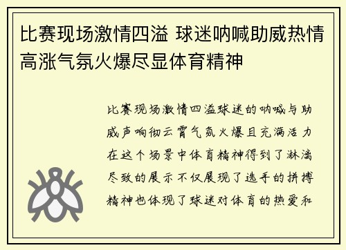 比赛现场激情四溢 球迷呐喊助威热情高涨气氛火爆尽显体育精神