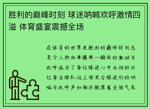 胜利的巅峰时刻 球迷呐喊欢呼激情四溢 体育盛宴震撼全场